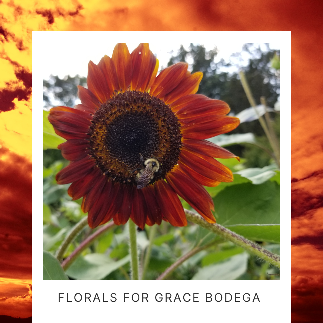 Edible Flowers
