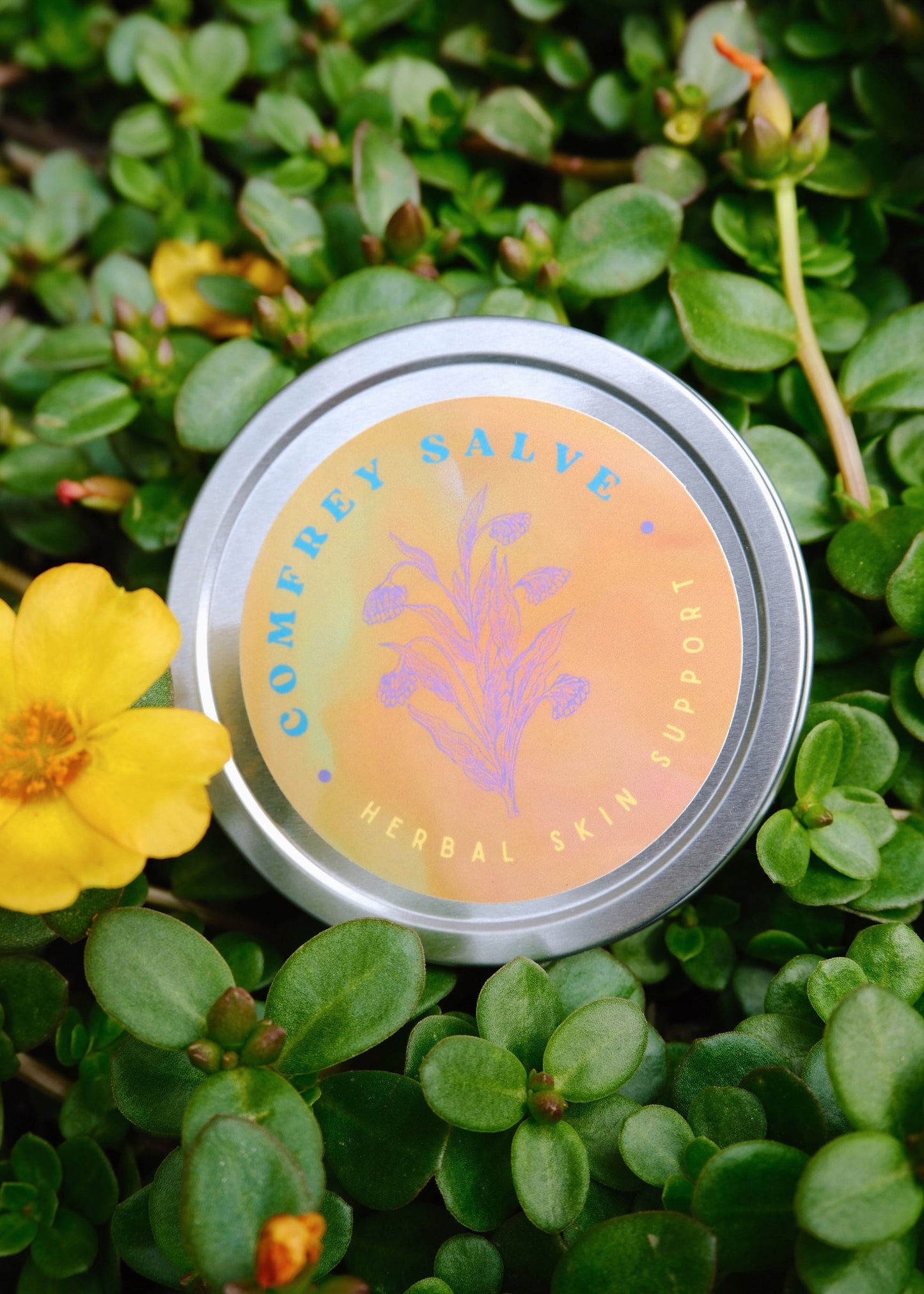 Comfrey Salve