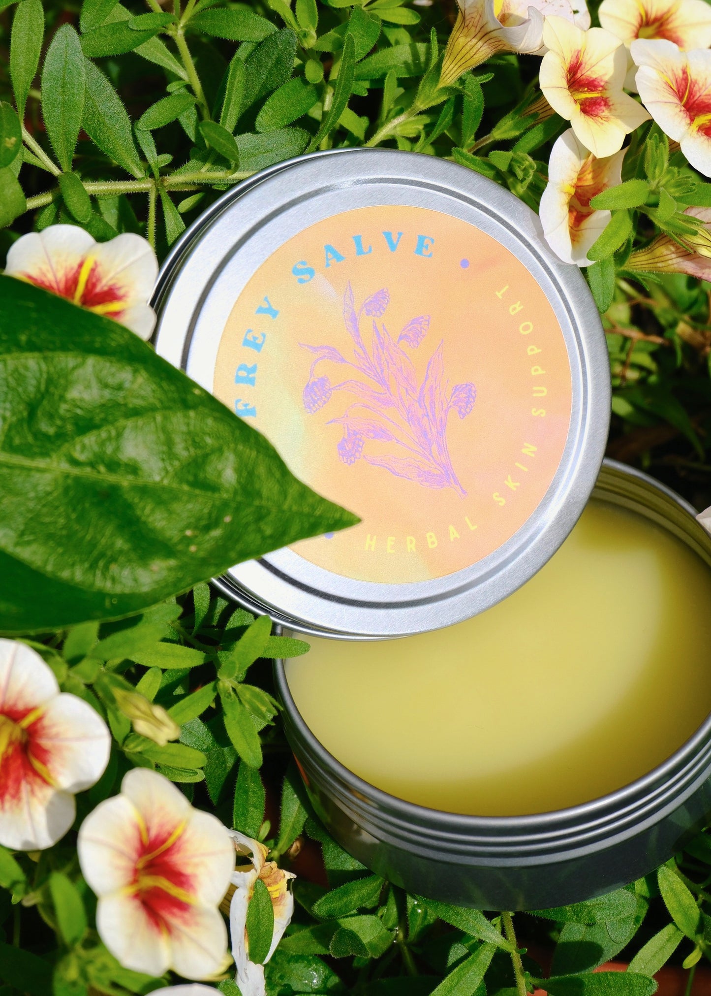 Comfrey Salve