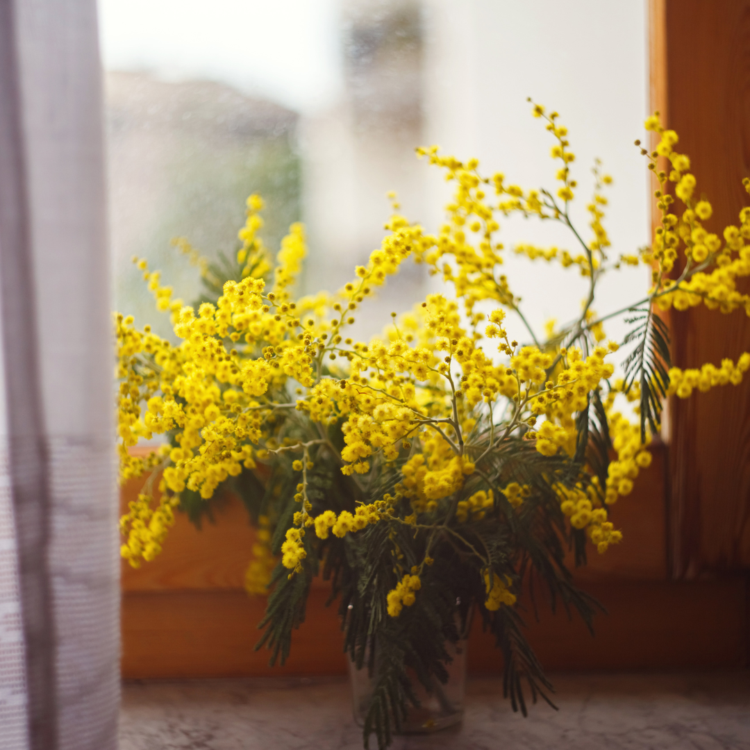 Bouquet of the Day