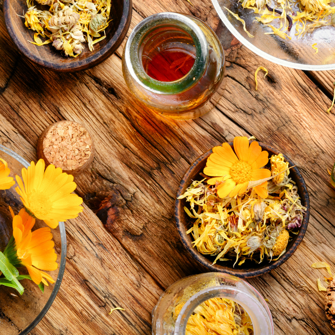 Calendula