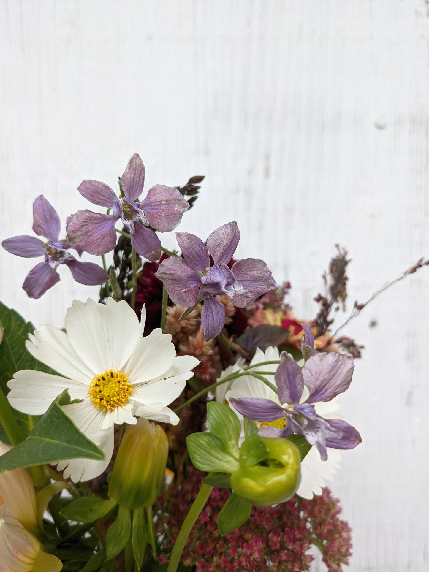 Bouquet of the Day