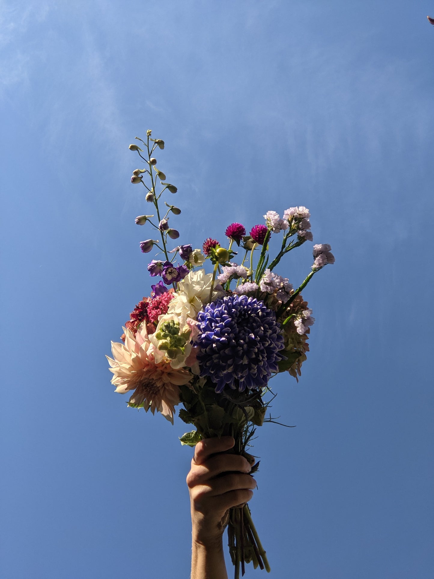 Bouquet of the Day