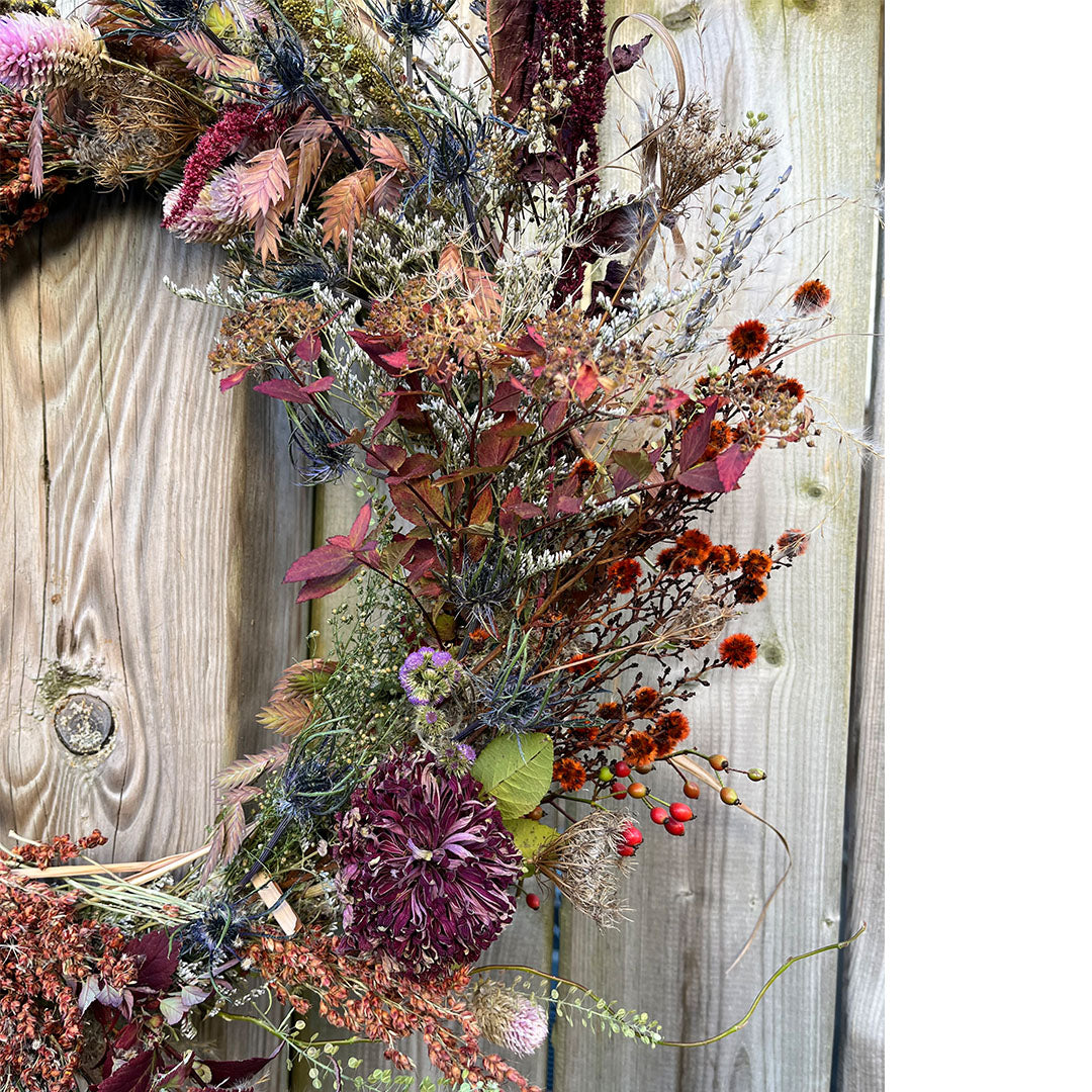 Wreath of the Day