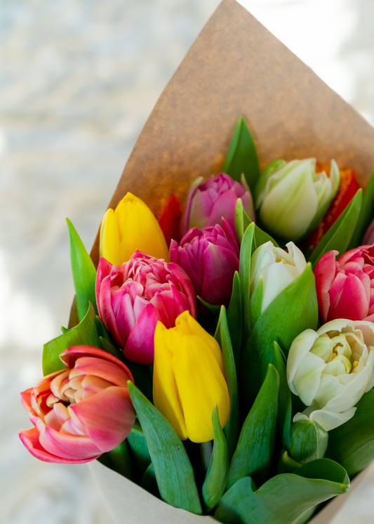 10 Tulips Bundles for Commonwealth Coffee Co