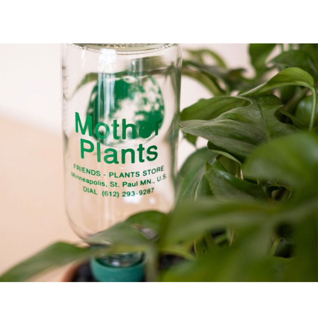 MOTHER PLANTS Self Watering Bottle