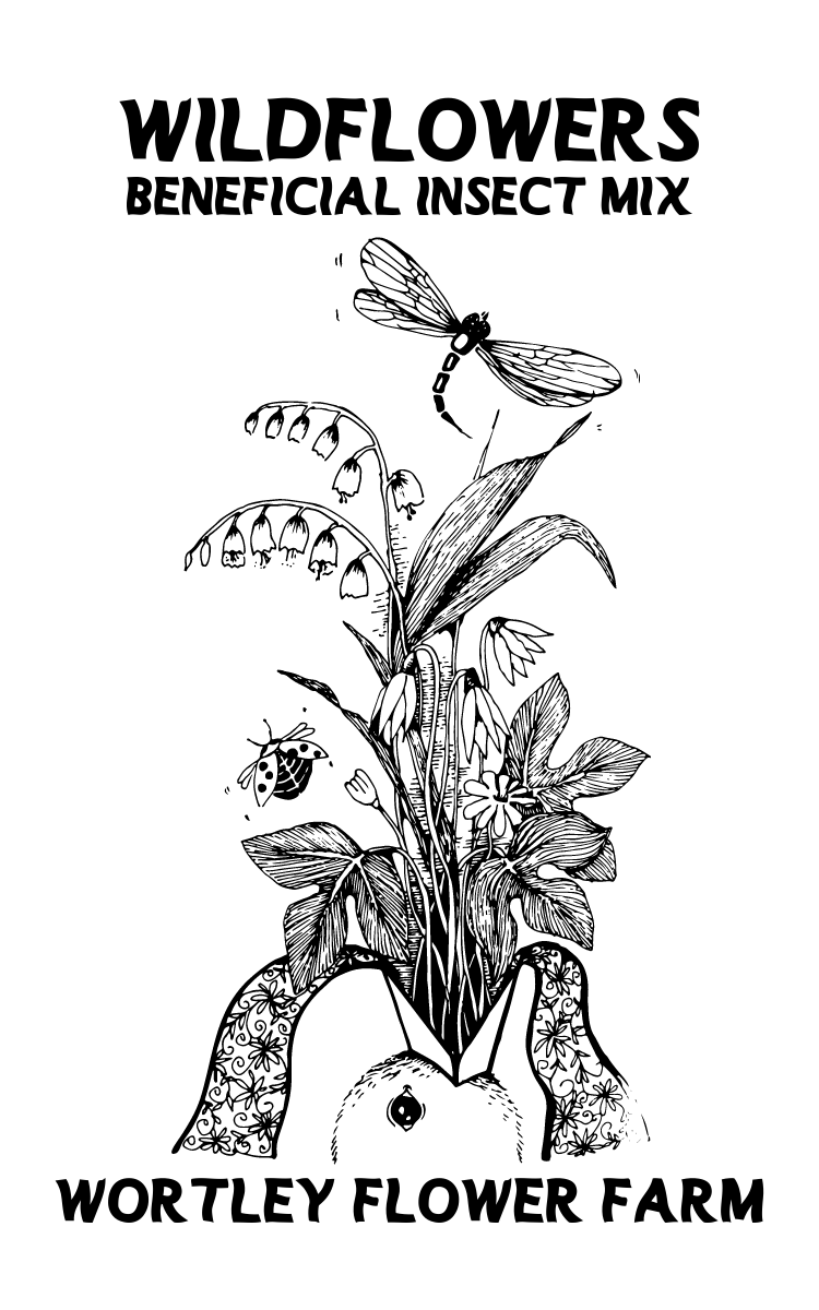 Beneficial Insect Blend Wortley Flower Farm